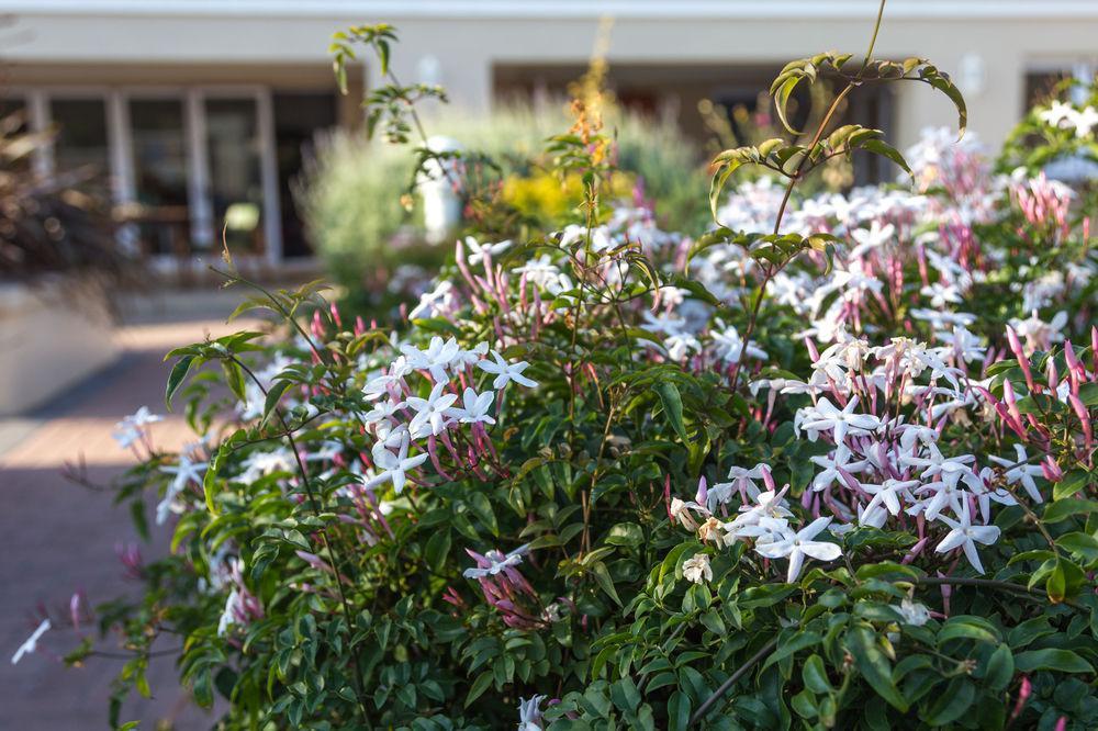 The Blue Lotus Guest House Port Elizabeth Bagian luar foto